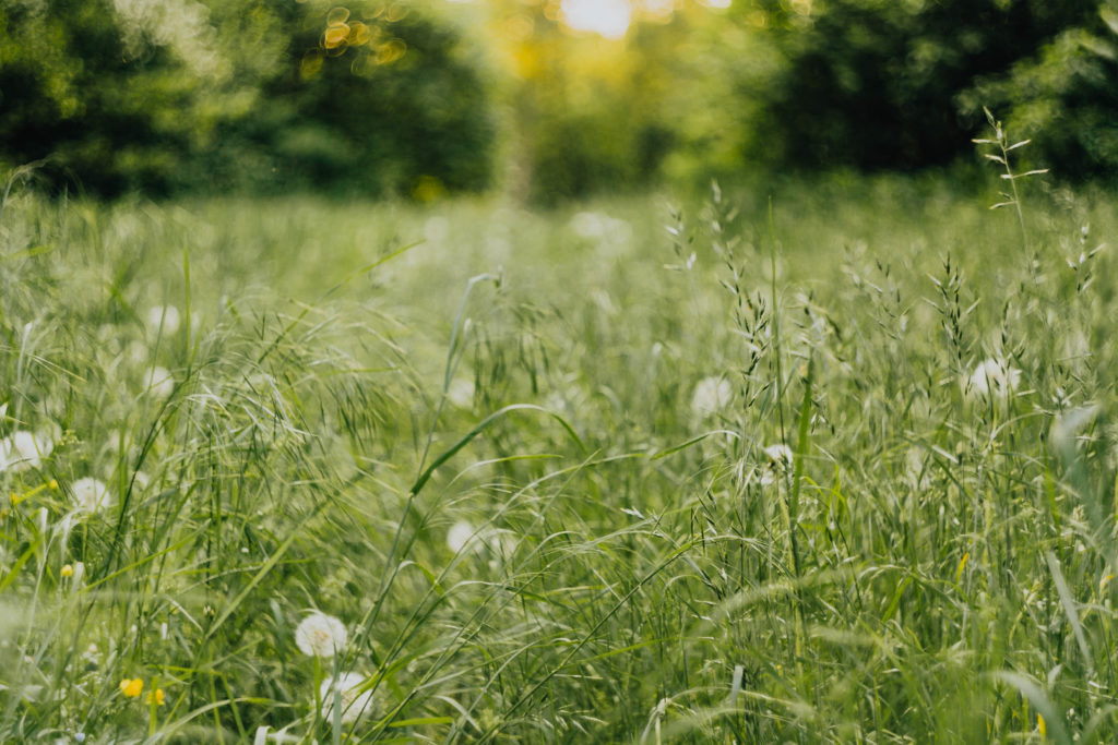 Hoffnung Alternative Potenzial Freiheit Lebensberatung